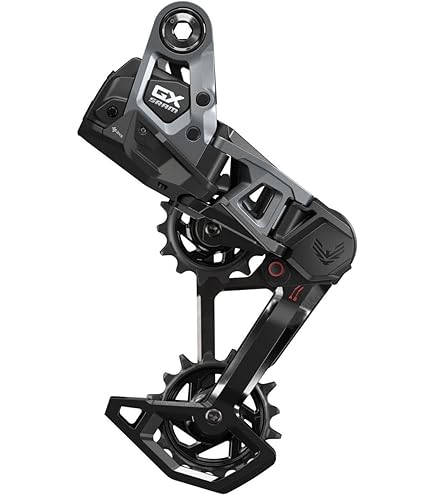 Amazon.com : SRAM GX Eagle T-Type XS-1275 Cassette - 12-Speed, 10
