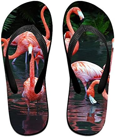 Flip Flops Flamingo Slip On Pool Beach Sandal Light Weight Non-slip Outdoor Water Slippers For Women Men