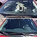 Jecr Auto Glass Windshield Adhesive - Black Urethane Glue Cartridge Sealant – Car and Truck Wind Shield Glass Silicone Sealer – Fast Curing – Primerless (1)