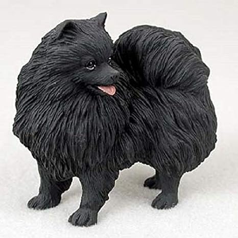 pomeranian black dog price