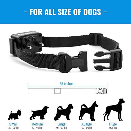 static collars for small dogs
