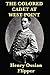 The Colored Cadet at West Point by Henry Ossian Flipper