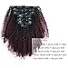 Sassina Seamless Two Tone Ombre Afro Kinky Curly Human Hair Extensions Double Wefts Clip on Remi Hair Natural Black Fading into Cherry Wine 120 Grams per Set With 7 Pieces 17 Clips ACTN99J 14 Inch