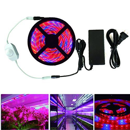 RoLightic 16.4ft 5M SMD 5050 300LEDs Flexible Led Strip Plant Growing Aquarium Light Kit Red Blue 5:1 DC 12V Waterproof IP65 with 5A Power Supply and Dimmer (Led Strip + Power Supply + Dimmer)