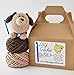 Pudgy Rabbit Beginner Crochet Kit Made in USA - Complete Craft Kit with Viedo Tutorials - Learn to Crochet - DIY Craft Kit (Tan Dog)