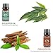 Lagunamoon Essential Oils  Top 8 Gift Set Pure Essential Oils Gift Set for Diffuser, Humidifier, Massage, Aromatherapy, Skin & Hair Care