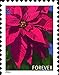 USPS Poinsettia Forever Postage Stamps -- Booklet of 20