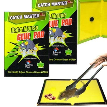 Mouse, Insects, Rodents, Lizard Rat Trap Catcher Non Toxic Glue Pad with Picker and Food (Pack of 2)