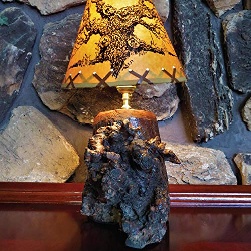 Lamp Light Kit Make, Repurpose or Repair an Old Lamp with a DIY Lamp