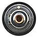 MotoRad 7265-195 Fail-Safe Thermostat Engine Coolant Thermostat Fits Ford F-150 97–14 F-250 Super Duty 99–21 Expedition 97–14 Mustang 96-10 Crown Victoria 92-11 Mercury Mountaineer 02-10 Cougar 94-97