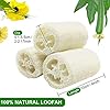 6-PCS-Natural-Loofah-Exfoliating-Luffa-Natural-Loofah-Sponge-Body-Scrubber-for-Bathing-and-Back-Caring-Spa-4-inch-Length-Organic-Loofah-Loofahs-Sponges-for-Shower-Scrubbing-and-Kitchen-Cleaning 6 Pcs Natural Loofah, Exfoliating Luffa Natural Loofah Sponge Body Scrubber For Bathing And Back Caring Spa, 4 Inch…