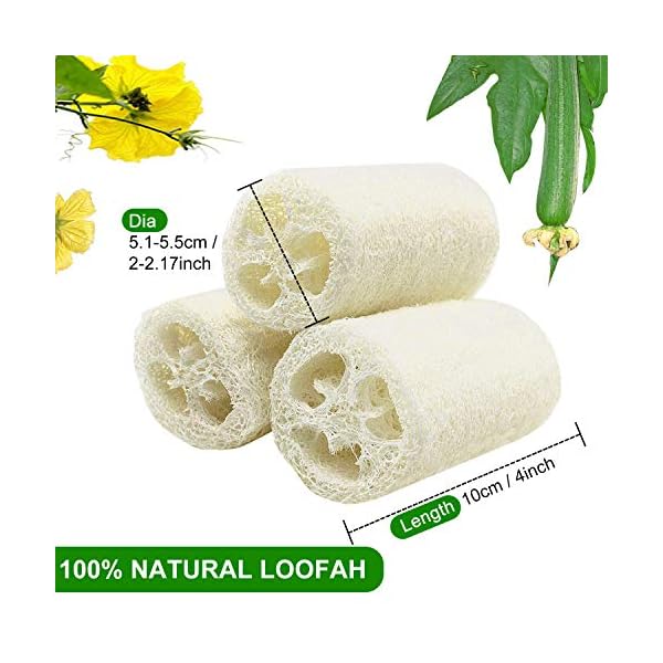 6-PCS-Natural-Loofah-Exfoliating-Luffa-Natural-Loofah-Sponge-Body-Scrubber-for-Bathing-and-Back-Caring-Spa-4-inch-Length-Organic-Loofah-Loofahs-Sponges-for-Shower-Scrubbing-and-Kitchen-Cleaning 6 Pcs Natural Loofah, Exfoliating Luffa Natural Loofah Sponge Body Scrubber For Bathing And Back Caring Spa, 4 Inch…