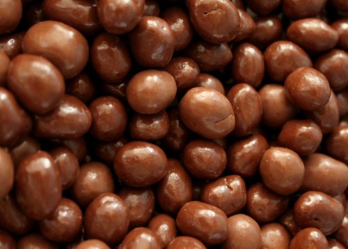 Sugar Free Milk Chocolate Covered Peanuts 10 Pound Bulk Bag from Nassau
