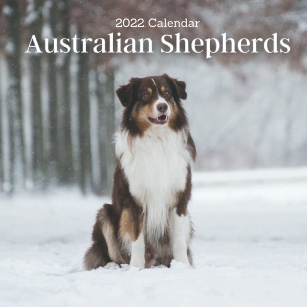 2023 Calendar Of Events Australia Amazon In Buy Australian Shepherds 2022 Calendar 18 Months Calendar 2022 2023 For Women Men Kids Australian Shepherds Lovers Size 8 5 X 8 5 Inch Large Box For Record Dates And Special Events Book