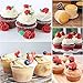 1000PCS White Cupcake Liners, Paper Baking Cups for Cooking Eggs, Meat Dishes Cupcakes, Breads