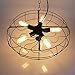 Ameride ETL listed 540W Edison Fans Retro Pendant ceiling lamp AD-RL-C203