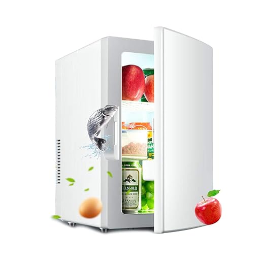 Nevera Eléctrica Portátil Nevera portátil Calentador Portátil 18L ...