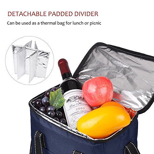 image for Kato 6 Bottle Wine Carrier - Insulated Wine Carrying Case Cooler Tote 