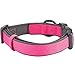 Blueberry Pet 2 Colors Soft & Comfy Made Well Classic Neoprene Padded Adjustable Dog Collar, Muted Red-Violet, Medium, Neck 14.5