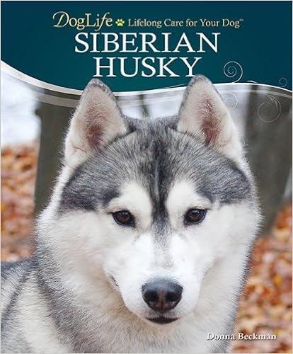 Siberian Husky (Doglife Series) Hardcover-spiral  - 2011/7/31