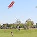 Skyborn Blue Alien Jellyfish Kites With Flying Winder And 200 Feet Of Line - Huge (8.5 feet x 2 feet) Excellent Flyer - Beautiful Design And Colors - Top Quality Materials And Construction