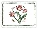 Portmeirion Botanic Garden Placemats, Set of 4