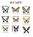 Graphium doson Butterfly Paperweight Specimen Paperweight for Science Education for book for office for desk(3