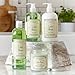 Stonewall Kitchen Lake House Hand Lotion, 16.9 Ounces