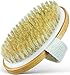 Dry Body Brush - 100% Natural Bristles - Cellulite Treatment, Increase Circulation and Tighten Skin. (Pack of 1) primary