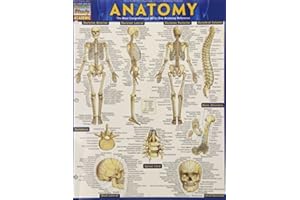 Anatomy (Quickstudy Academic) by Inc. BarCharts (2014-05-31)