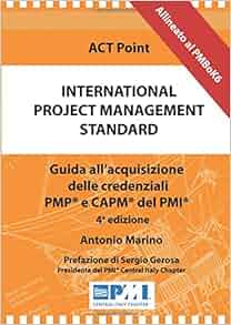 Amazon Com International Project Management Standard