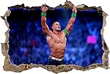 John Cena Smashed Wall 3D Effect Decal Removable Wall Sticker Art WWE H227, Regular