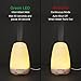 InnoGear 150ml Aromatherapy Essential Oil Diffuser Ultrasonic Cool Mist Aroma Room Freshener with 7 Color LED Night Lights and Waterless Auto Shut-Off Function (White)