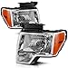 AUTOSAVER88 Headlight Assembly Compatible with 2009-2014 Ford F150 Pickup OE Direct Replacement Headlamp Chrome Housing Clear Lens with Chrome Trim