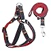 URPOWER Dog Leash Harness Adjustable & Durable Leash Set & Heavy Duty Denim Dog Leash Collar for Small, Medium and Large Dog, Perfect for Daily Training Walking Running (L(17
