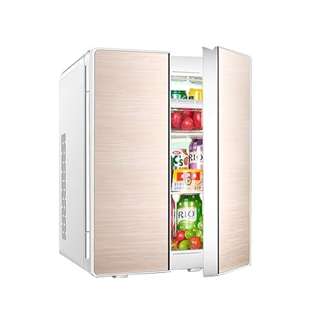 YEXIN Congelador frigorífico de viaje compacto para automóvil de ...