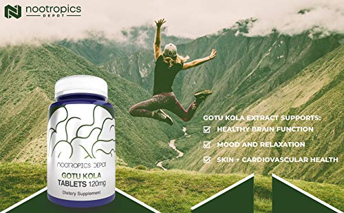 Gotu Kola Extract Tablets | 120mg | 180 Count | Enteric Coated | Centella asiatica | 35-45% Triterpenes | Supports Healthy Stress Levels | Promotes Memory Enhancement - Thumbnail 4