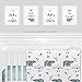 Sweet Jojo Designs Slate Blue and White Wall Art Prints Room Decor for Baby, Nursery, and Kids for Bear Mountain Watercolor Collection - Set of 4 - Dream Big, Don't Wake the Bear