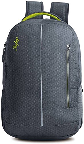 skybags laptop bags amazon