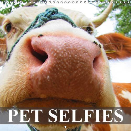 Pet Selfies: Funny Animal Selfies (Calvendo Animals)