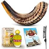 Shofar Horn Instrument â€“ RAM Shofar Angels Musical Instrument â€“ Horn Gift from Israel â€“ Kosher Jewish and Evangelical Shofar â€“ Traditional Holy Instrument for Religious Ceremonies (12-14)