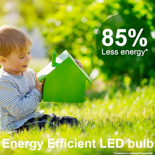 paul russells LED GLS Light Edison Screw ES, 60w Equivalent, 8watt 806LM LED Bulbs, 2700K Warm White Lamp, Classic Frosted A60 Standard E27 Energy Saving Non-Dimmable Large Globe Lightbulb, 3 Pack