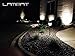 Solar Lights 2 Pack