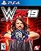 WWE 2K19 - PlayStation 4 primary