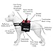 Service Dog Vest with Hook and Loop Straps and Detachable Backpacks - Harnesses in 7 Sizes from XXS to XXL - Service Dog Harness Features Reflective Patch and Comfortable Mesh Design (Red, Large)