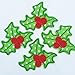 Set of 10 pcs Christmas X'mas Holly Leaves Iron On Sew On Cloth Embroidered Patches Appliques Machine Embroidery Needlecraft Sewing Girls projects