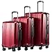 Coolife Luggage Expandable Suitcase 3 Piece Set with TSA Lock Spinner 20in24in28in (wine red3)