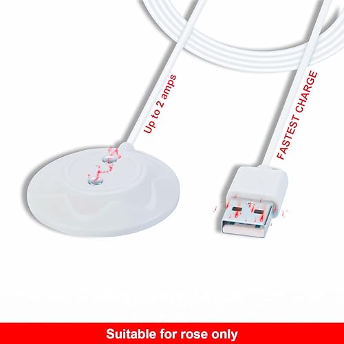 rose toy charger replacement How To Charge Rose Toy Either With Or Without A Charger main image 0