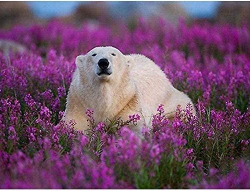 お得セット 大人パズル1000ピース大人のためのジグソーパズル1000ピース動物の花75x50cm木製パズル子供iq開発おもちゃ教育ゲーム3d Diyアートグッズ Si003