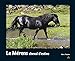 Le Merens Cheval D'Estive by